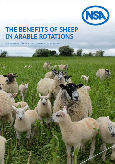 The Benefits of Sheep in Arable Rotations