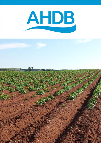 Assessing Soil Health in Arable Farms